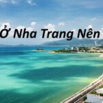 1 Ngày ở Nha Trang nên đi đâu? Tour du lịch Nha Trang 1 ngày