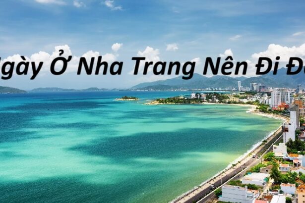 1 Ngày ở Nha Trang nên đi đâu? Tour du lịch Nha Trang 1 ngày