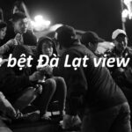 Review cafe bệt Đà Lạt view đẹp, cà phê bệt ở Đà Lạt có gì?