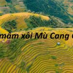 Review đồi mâm xôi Mù Cang Chải có gì, chơi gì ở đồi mâm xôi