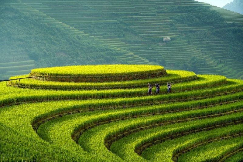  Xung quanh khu vực này lúa cũng khá nhiều, sẽ cho bạn nhiều góc chụp đẹp và chất lừ.