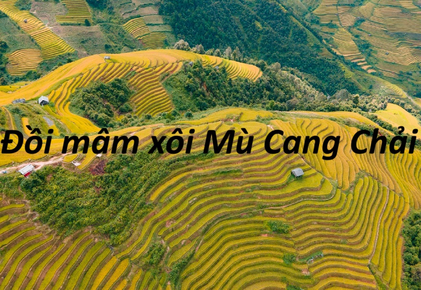 Review đồi mâm xôi Mù Cang Chải có gì, chơi gì ở đồi mâm xôi