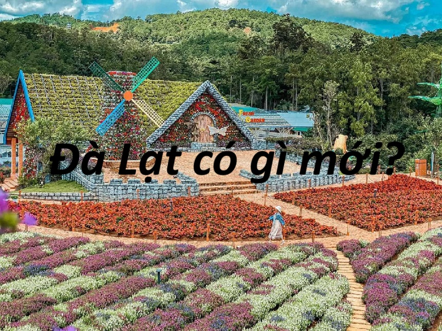 Du lịch Đà Lạt có gì mới? Địa điểm chơi mới ở Đà Lạt