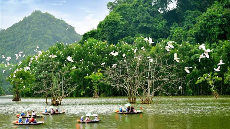 Du khách ngồi thuyền sẽ được ngắm nhìn cảnh vật hùng vĩ của Thung Nham, chiêm ngưỡng vườn chim đầy thú vị và tận hưởng bầu không khí trong lành.