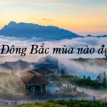 Du lịch Đông Bắc mùa nào đẹp nhất, địa điểm du lịch Đông Bắc