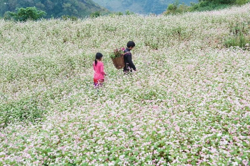 Du lịch Đông Bắc mùa nào? - Mùa đông mang dáng vẻ hiền hòa và huyền ảo.