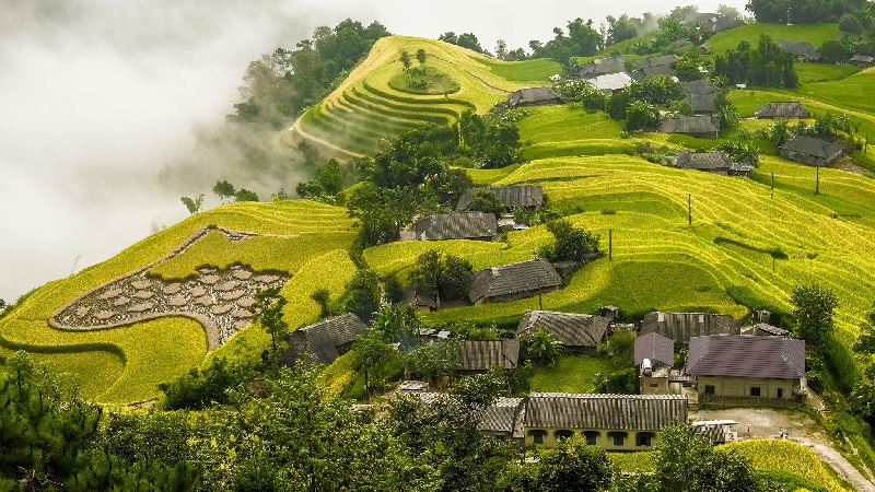 Hoàng Su Phì (Hà Giang)