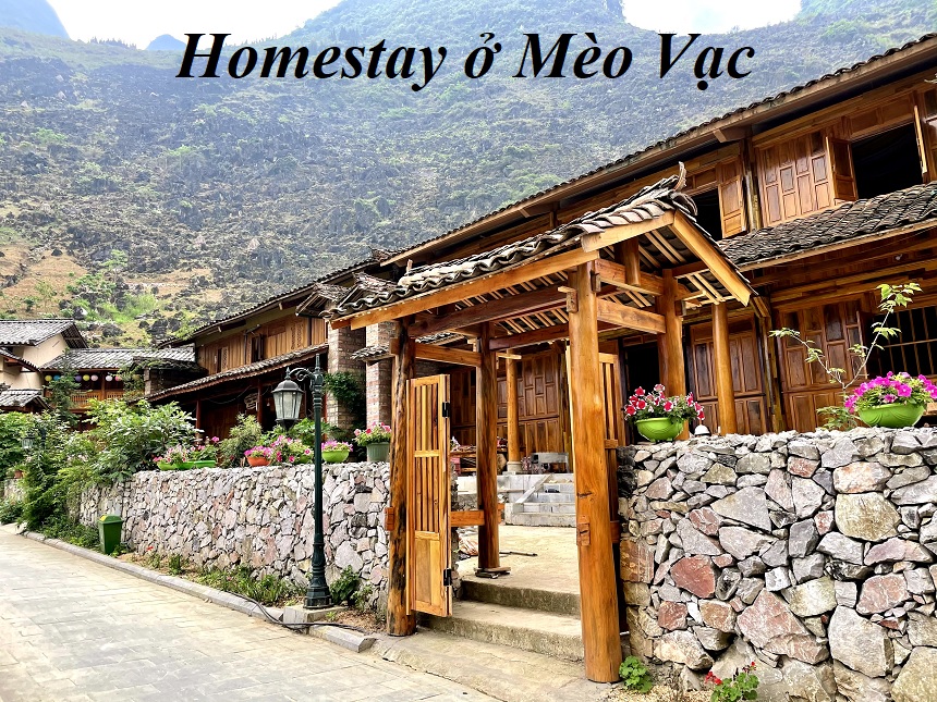 Homestay Mèo Vạc view đẹp giá rẻ, homestay ở Mèo Vạc.