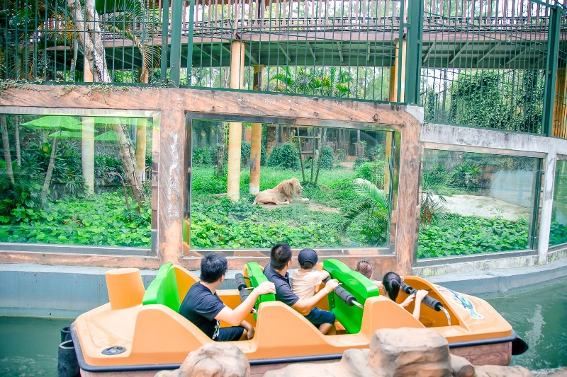 Tổ hợp Safari hiện đại, dễ dàng tham quan vườn thú và chiêm ngưỡng thế giới động vật hoang dã.