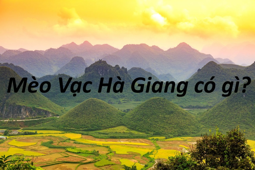 Mèo Vạc Hà Giang có gì? Du lịch huyện Mèo Vạc nên đi đâu?