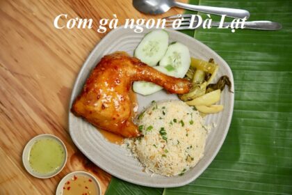 Ăn cơm gà Đà Lạt ở đâu ngon? Quán cơm gà ở Đà Lạt giá rẻ.