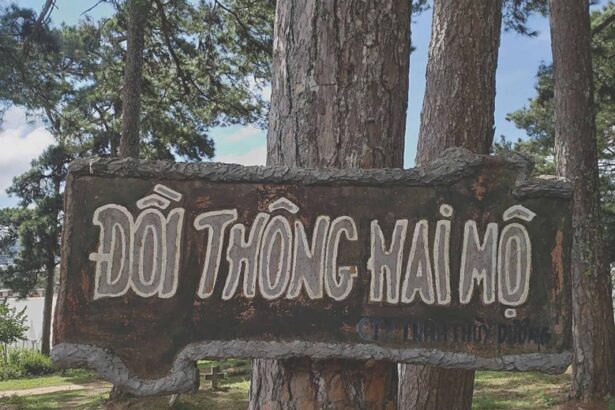 Tại sao gọi Đồi Thông 2 Mộ? Đồi Thông Hai Mộ có ma thật không.