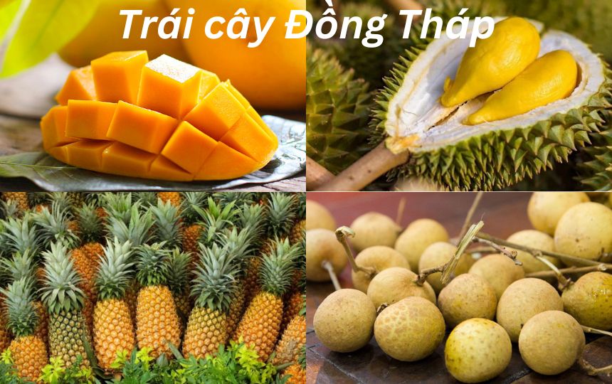 Trái cây đặc sản Đồng Tháp là trái gì? Trái cây Đồng Tháp.