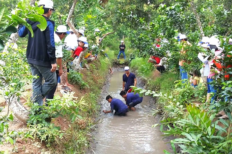 Thử thách tát mương bắt cá tại Cồn Sơn