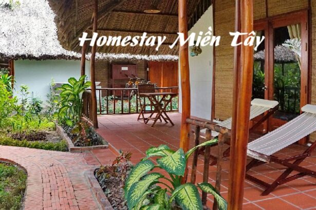 Địa chỉ homestay Miền Tây bình dân, homestay đẹp ở Miền Tây