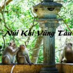 Đến núi Khỉ Vũng Tàu có gì chơi? Núi khỉ có khỉ thật không?