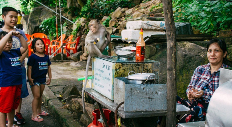 Ghé thăm ngôi chùa Tam Bảo - chùa khỉ Viba nổi tiếng